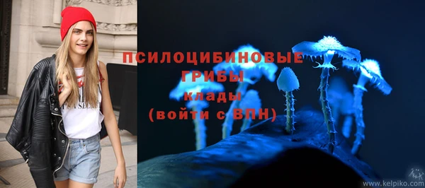 ALPHA-PVP Алексеевка