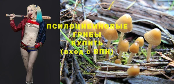 тгк Алзамай