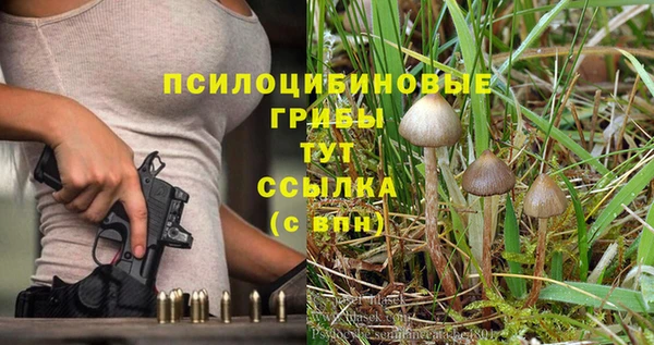 тгк Алзамай