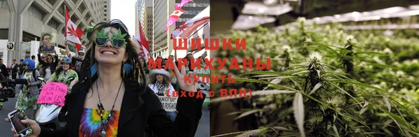 тгк Алзамай