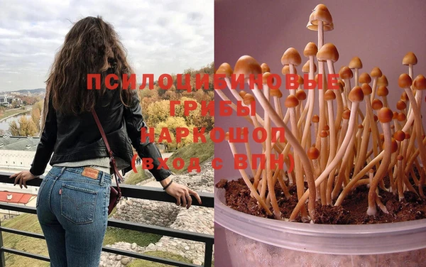 тгк Алзамай